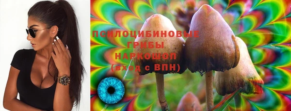 сатива Баксан