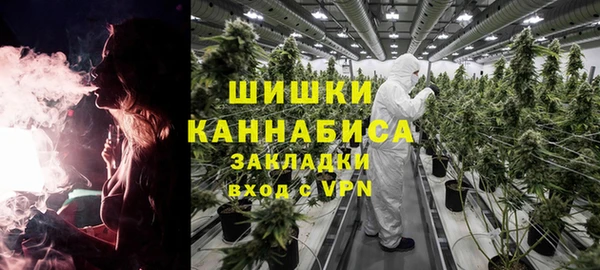 сатива Баксан