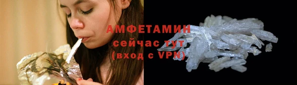сатива Баксан
