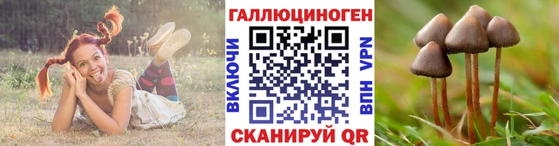 Псилоцибиновые грибы Magic Shrooms  сколько стоит  Ленск 